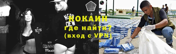 шишки Алексеевка