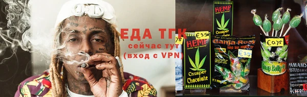 хмурый Алексин