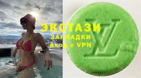 хмурый Алексин